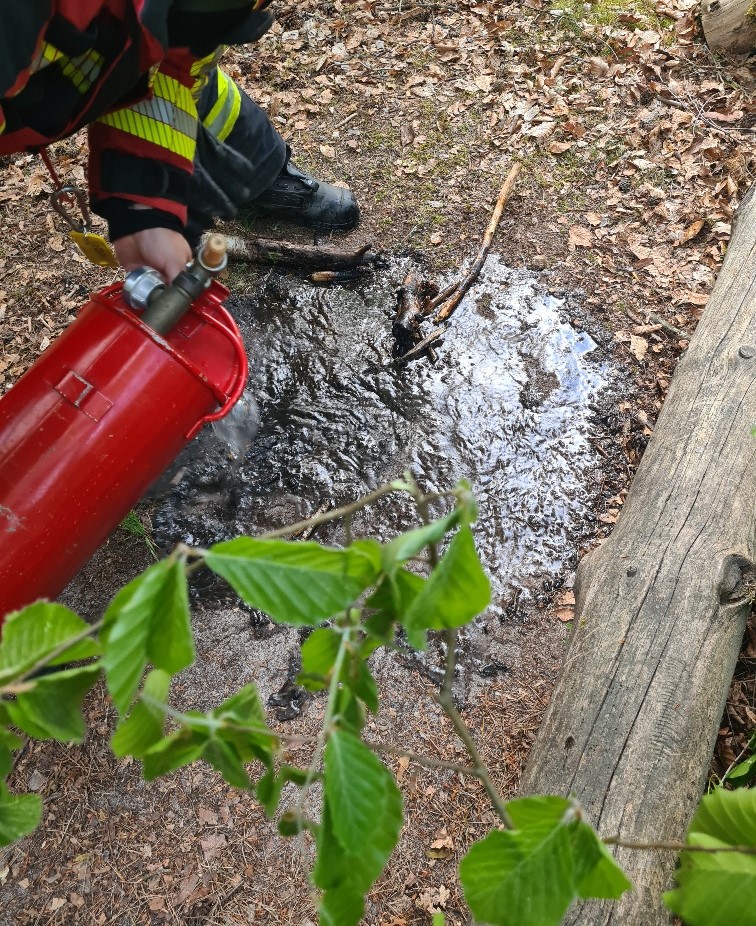 20250520_190135_resized zugeschnitten.jpg